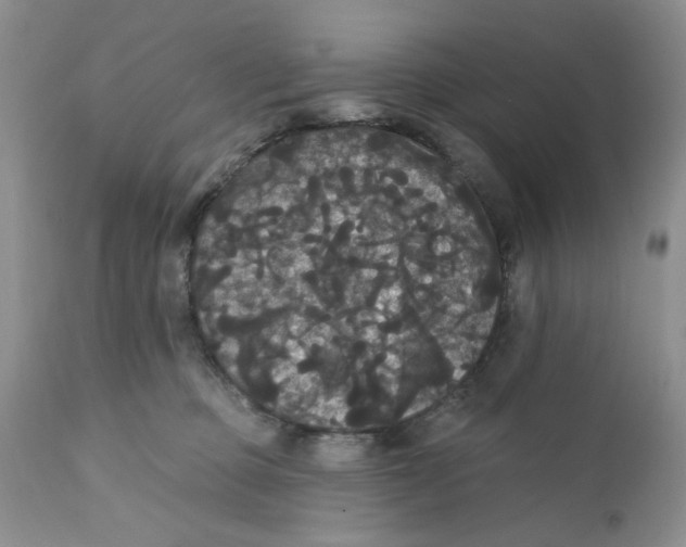 X0000111910373200908241032