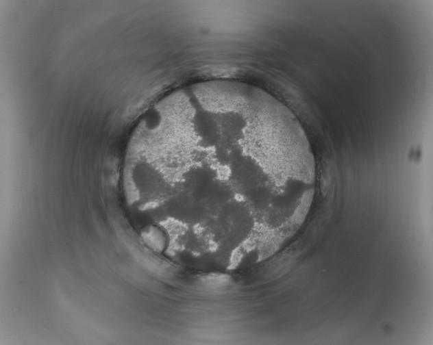 X0000111910374200908241032