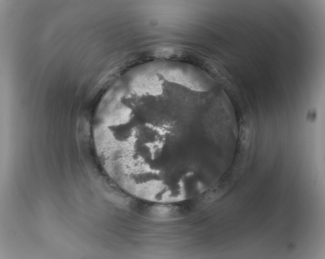 X0000111910375200908241032