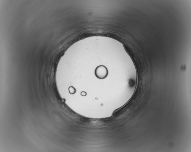 X0000111910376200908241032