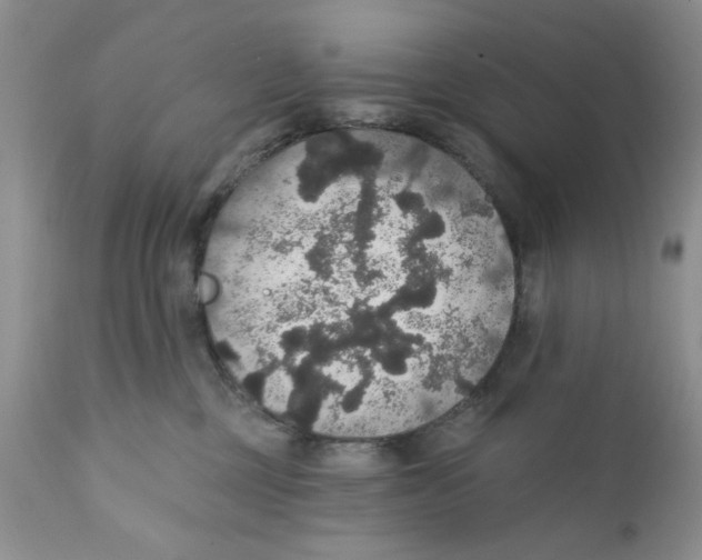 X0000111910377200908241032