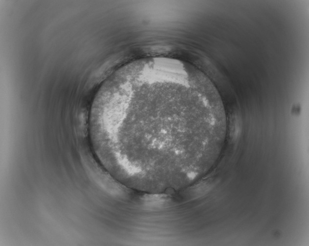X0000111910378200908241032