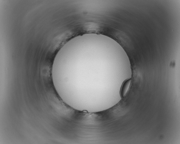 X0000111910379200908241032