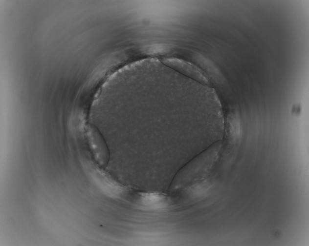 X0000111910380200908241032