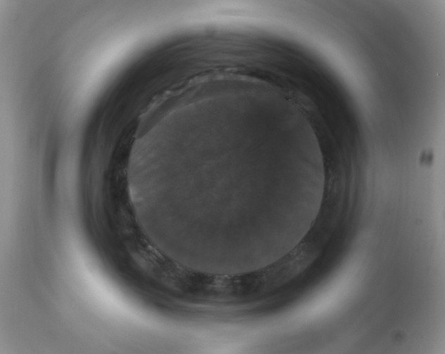 X0000111910383200908241032
