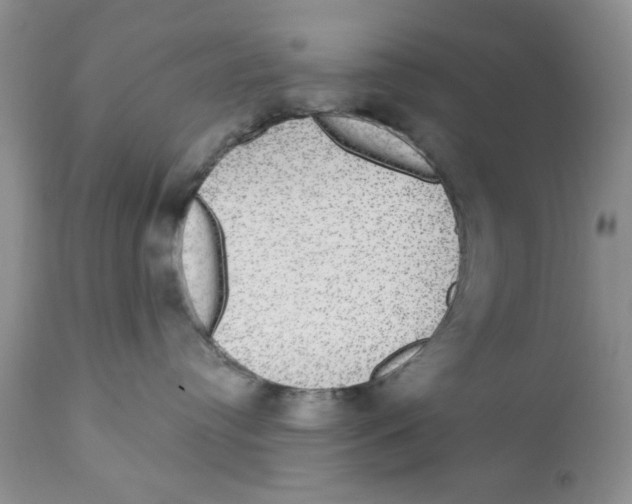 X0000111910384200908241032