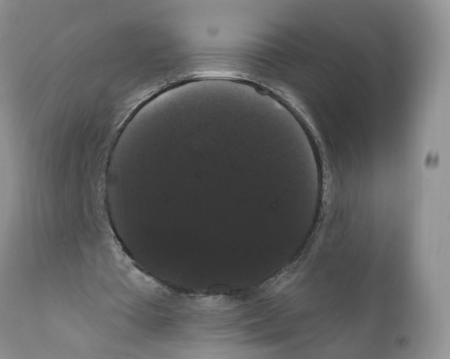 X0000111910385200908241032