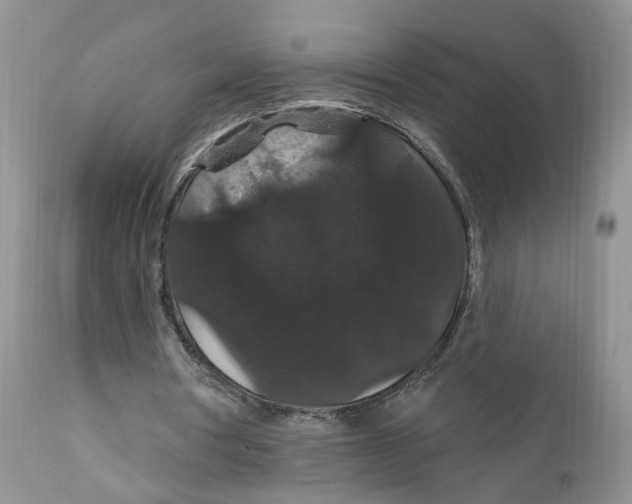 X0000111910386200908241032