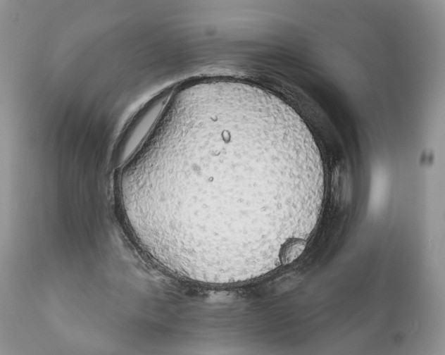 X0000111910388200908241032