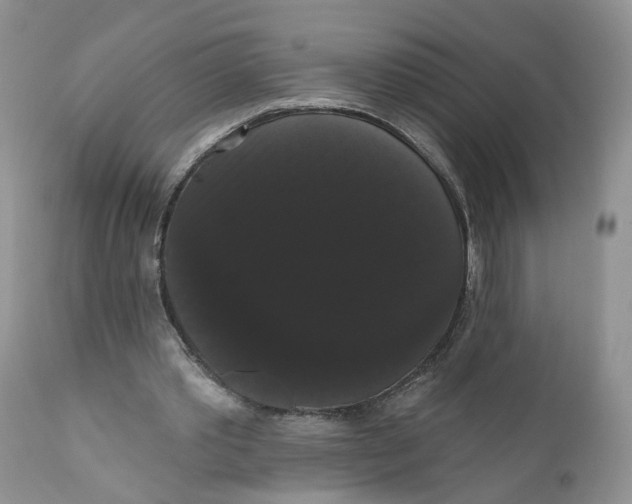 X0000111910389200908241032
