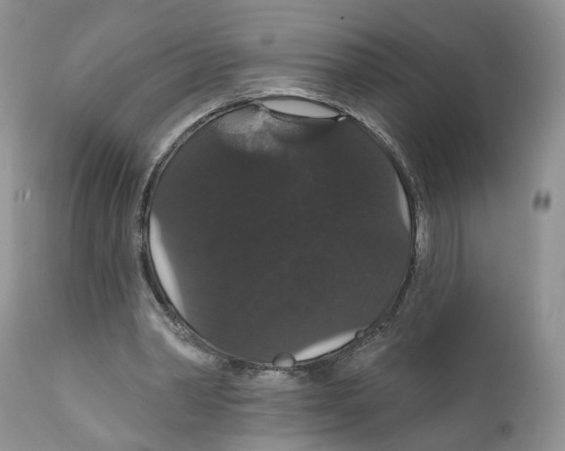 X0000111910390200908241032