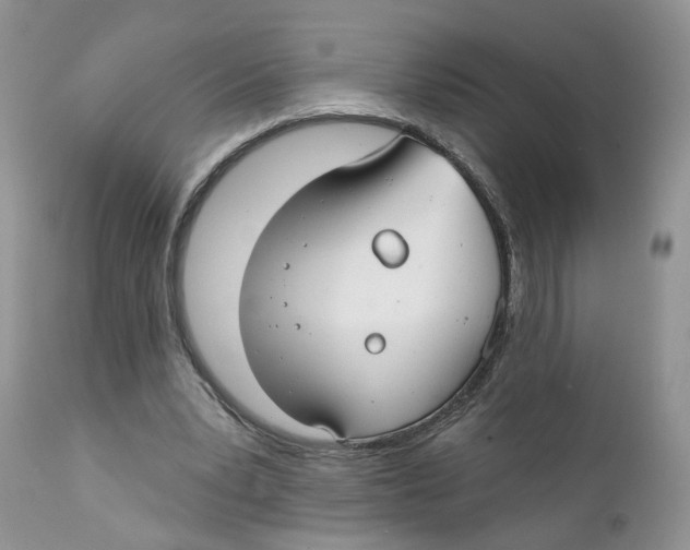 X0000111910391200908241032