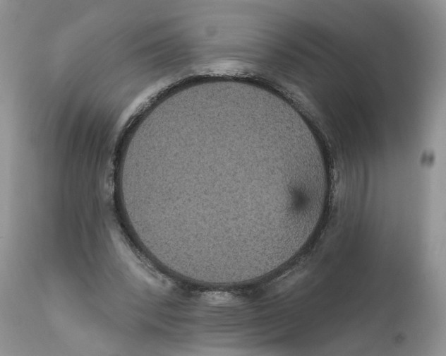 X0000111910392200908241032