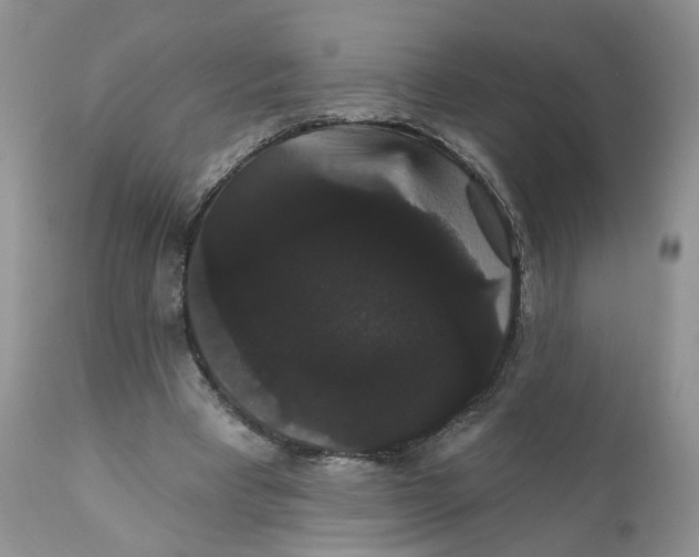 X0000111910393200908241031