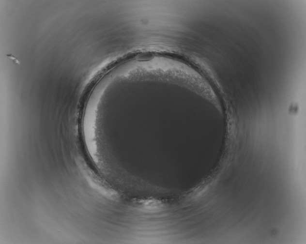 X0000111910395200908241031