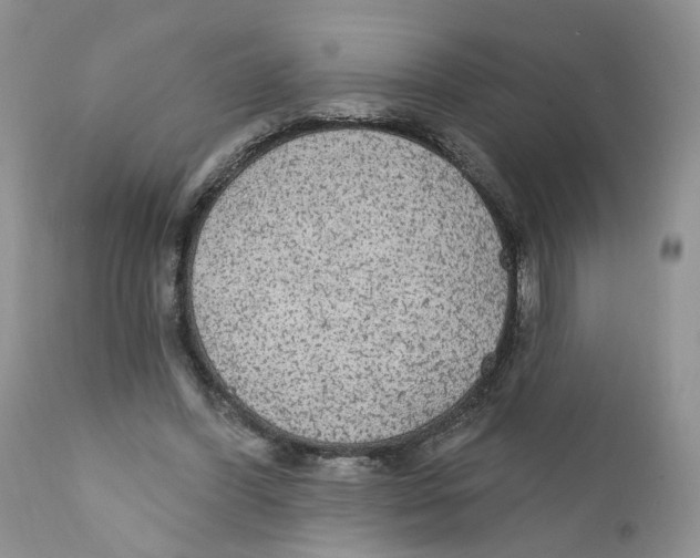 X0000111910396200908241031
