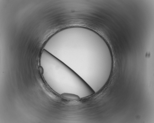 X0000111910397200908241031