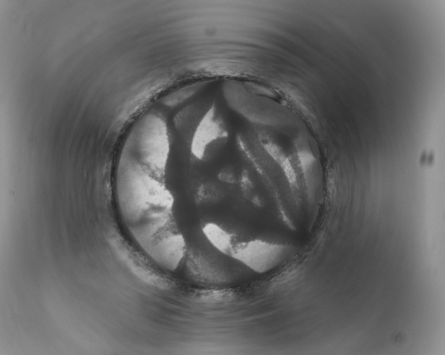 X0000111910398200908241031