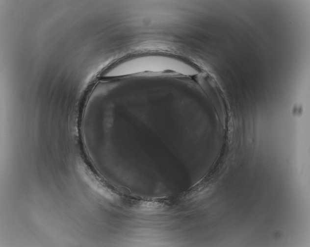 X0000111910399200908241031