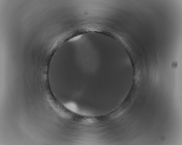 X0000111910402200908241031