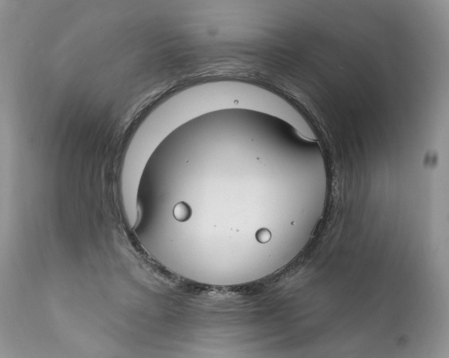 X0000111910403200908241031