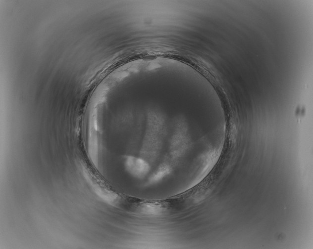 X0000111910405200908241031