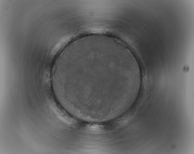 X0000111910407200908241031