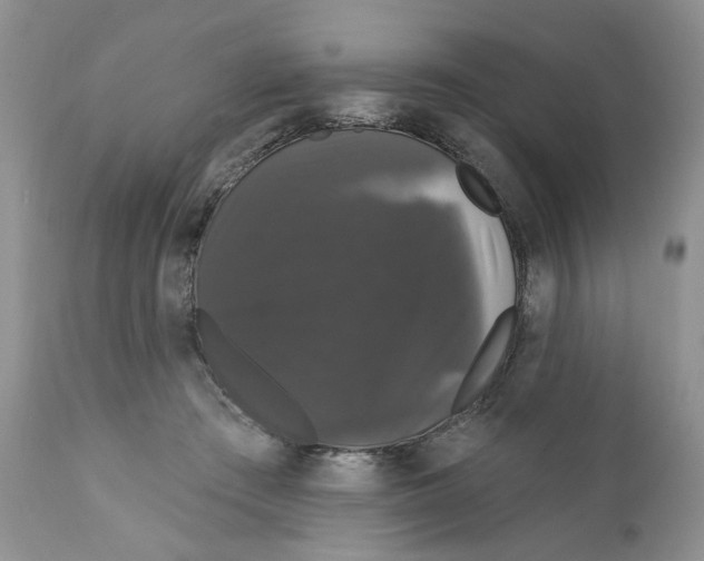 X0000111910409200908241031