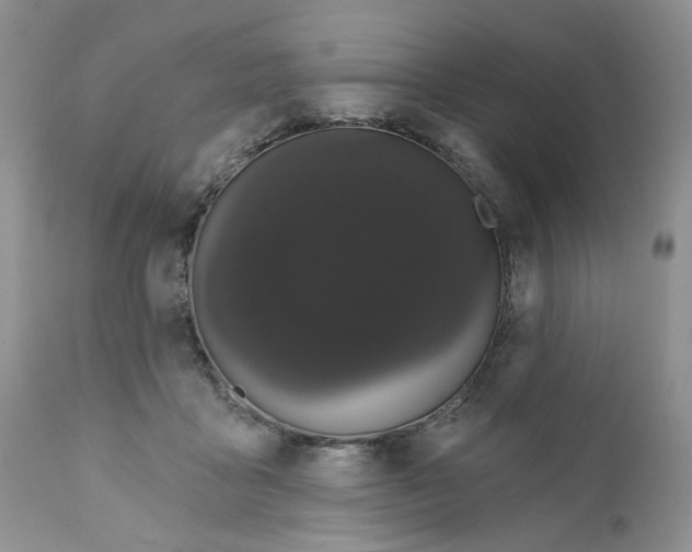 X0000111910411200908241031