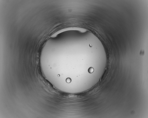 X0000111910413200908241031