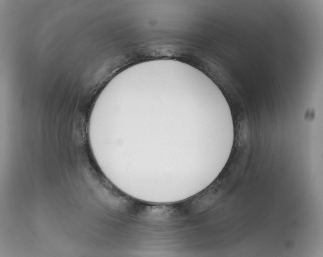 X0000111910414200908241031