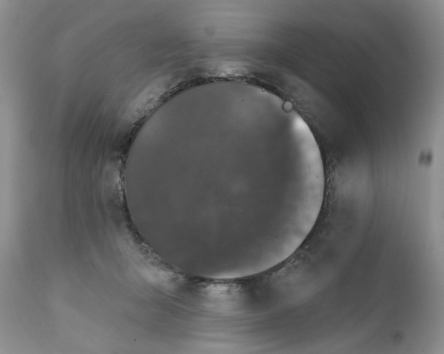 X0000111910415200908241031