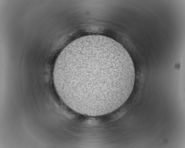 X0000111910416200908241031