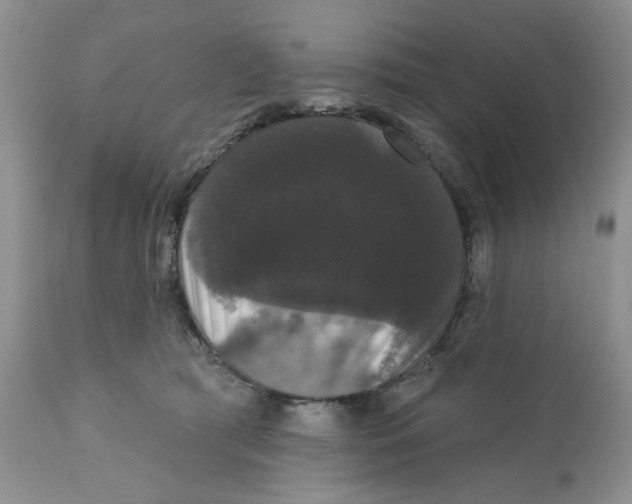 X0000111910417200908241031