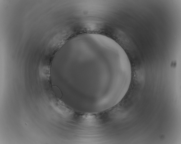 X0000111910419200908241031