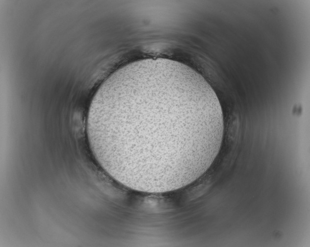 X0000111910420200908241031