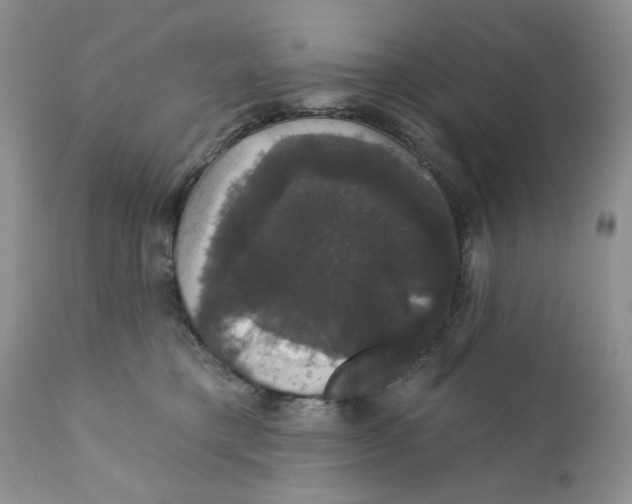 X0000111910421200908241031