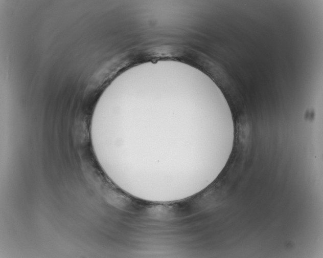 X0000111910422200908241031