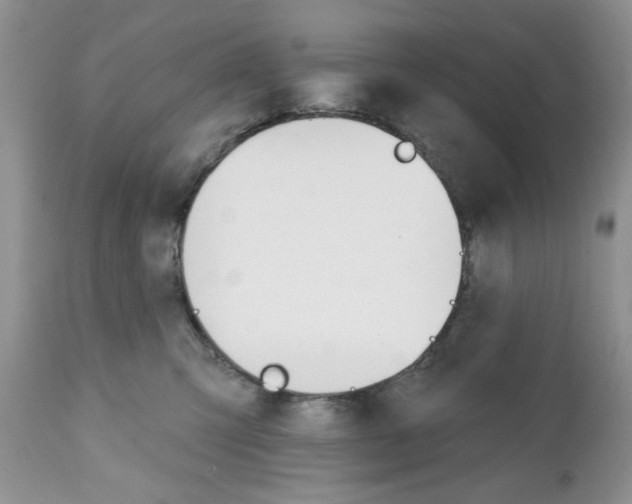 X0000111910423200908241031