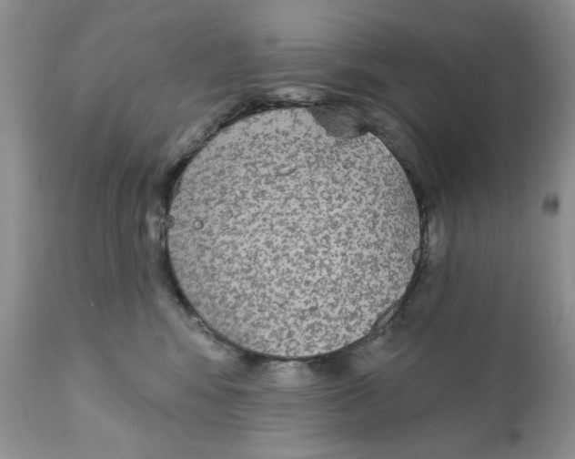 X0000111910424200908241031