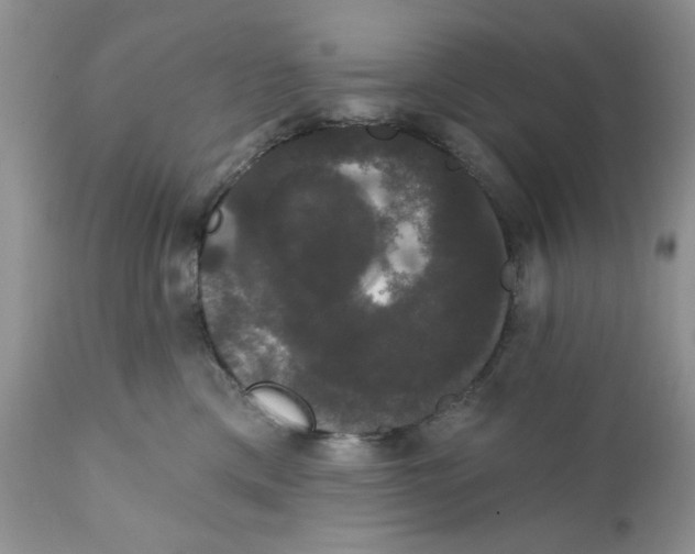 X0000111910425200908241031
