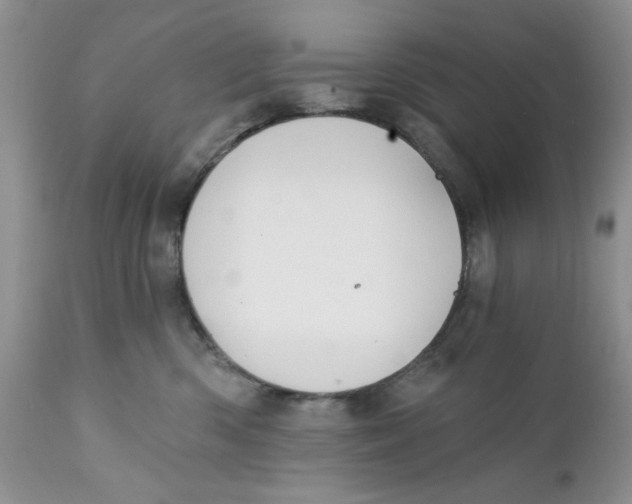 X0000111910426200908241031
