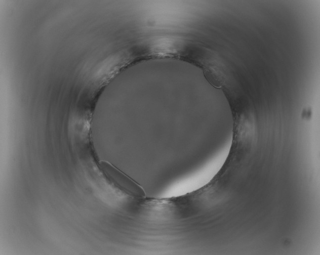 X0000111910427200908241031