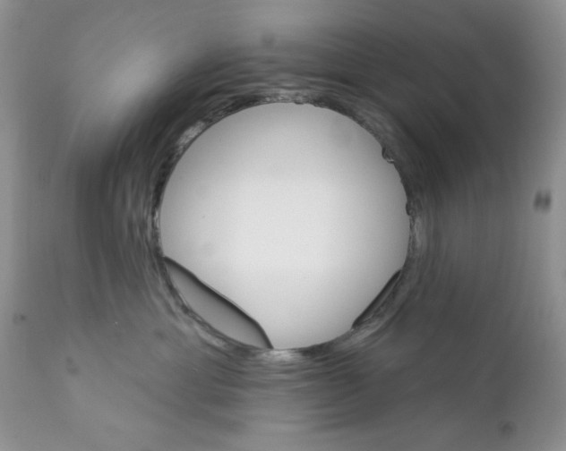 X0000111910429200908241031