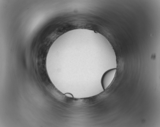 X0000111910430200908241031