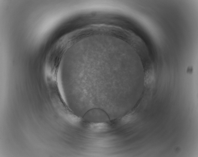 X0000111910431200908241031