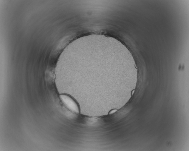 X0000111910432200908241031