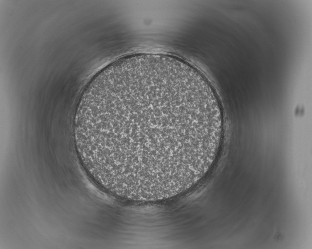 X0000111910433200908241030