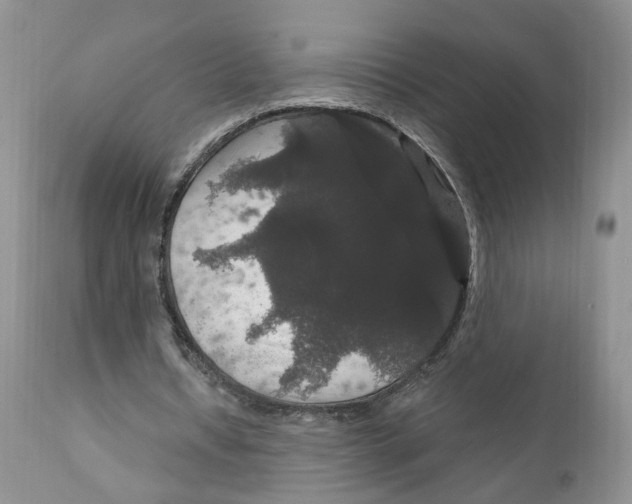 X0000111910434200908241030