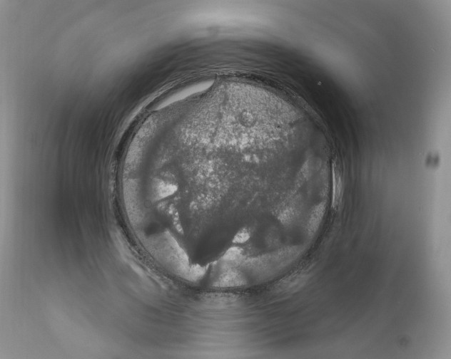 X0000111910435200908241030